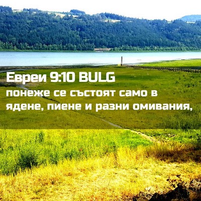 Picture 02 - Евреи 9:10 BULG - понеже се състоят само в - Bible Verse Picture