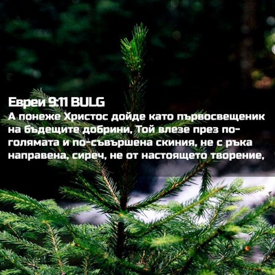 Picture 02 - Евреи 9:11 BULG - А понеже Христос дойде - Bible Verse Picture
