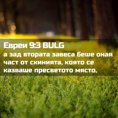 Picture 02 - Евреи 9:3 BULG - а зад втората завеса беше - Bible Verse Picture