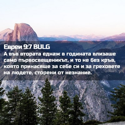 Picture 02 - Евреи 9:7 BULG - А във втората еднаж в - Bible Verse Picture