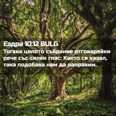 Picture 02 - Ездра 10:12 BULG - Тогава цялото събрание - Bible Verse Picture