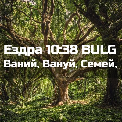 Picture 02 - Ездра 10:38 BULG - Ваний, Вануй, - Bible Verse Picture