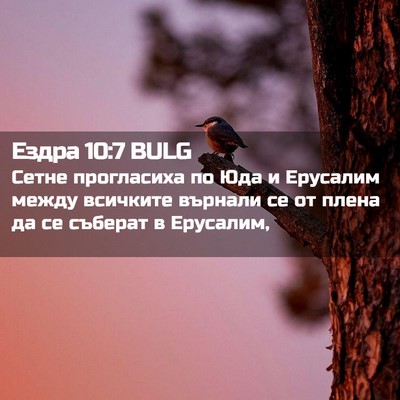 Picture 02 - Ездра 10:7 BULG - Сетне прогласиха по Юда и - Bible Verse Picture
