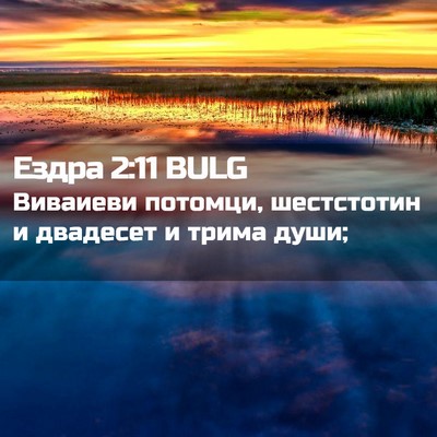 Picture 02 - Ездра 2:11 BULG - Виваиеви потомци, - Bible Verse Picture