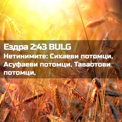 Picture 02 - Ездра 2:43 BULG - Нетинимите: Сихаеви - Bible Verse Picture
