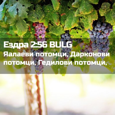 Picture 02 - Ездра 2:56 BULG - Яалаеви потомци, Дарконови - Bible Verse Picture