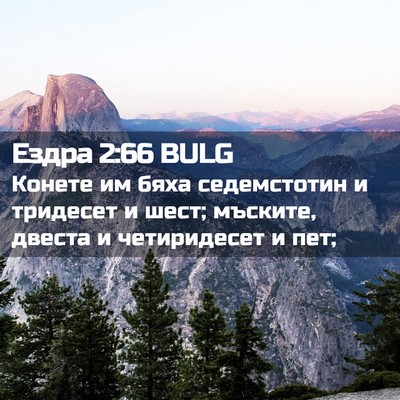 Picture 02 - Ездра 2:66 BULG - Конете им бяха седемстотин - Bible Verse Picture