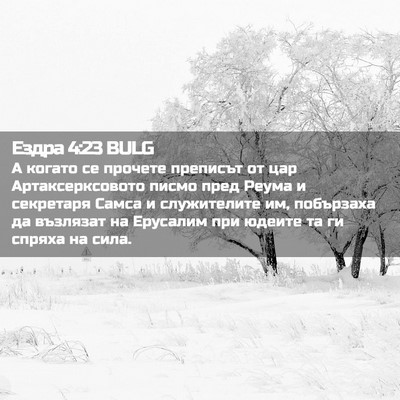 Picture 02 - Ездра 4:23 BULG - А когато се прочете - Bible Verse Picture