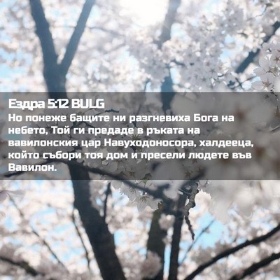 Picture 02 - Ездра 5:12 BULG - Но понеже бащите ни - Bible Verse Picture