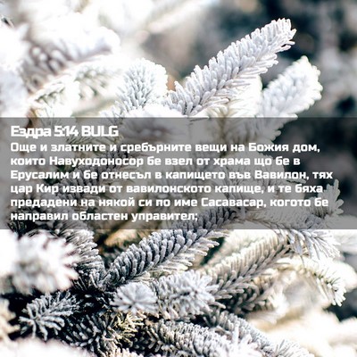 Picture 02 - Ездра 5:14 BULG - Още и златните и - Bible Verse Picture