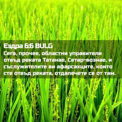 Picture 02 - Ездра 6:6 BULG - Сега, прочее, областни - Bible Verse Picture