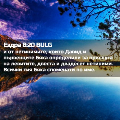 Picture 02 - Ездра 8:20 BULG - и от нетинимите, които - Bible Verse Picture