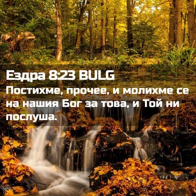 Picture 02 - Ездра 8:23 BULG - Постихме, прочее, и молихме - Bible Verse Picture