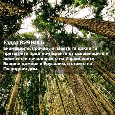 Picture 02 - Ездра 8:29 BULG - внимавайте, прочее , и - Bible Verse Picture