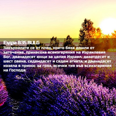 Picture 02 - Ездра 8:35 BULG - Завърналите се от плен, - Bible Verse Picture
