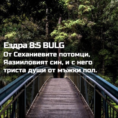 Picture 02 - Ездра 8:5 BULG - От Сеханиевите потомци, - Bible Verse Picture