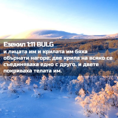 Picture 02 - Езекил 1:11 BULG - и лицата им и крилата им - Bible Verse Picture