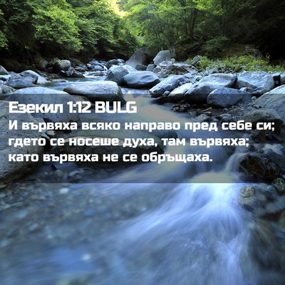 Picture 02 - Езекил 1:12 BULG - И вървяха всяко направо - Bible Verse Picture