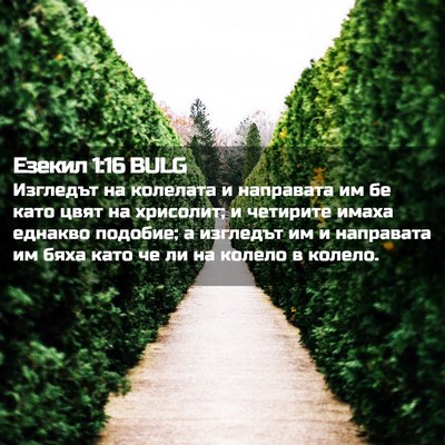 Picture 02 - Езекил 1:16 BULG - Изгледът на колелата и - Bible Verse Picture