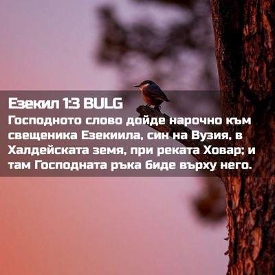 Picture 02 - Езекил 1:3 BULG - Господното слово дойде - Bible Verse Picture