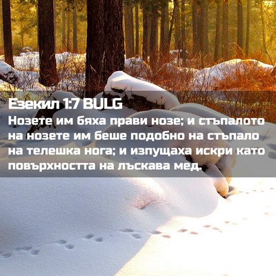 Picture 02 - Езекил 1:7 BULG - Нозете им бяха прави нозе; - Bible Verse Picture