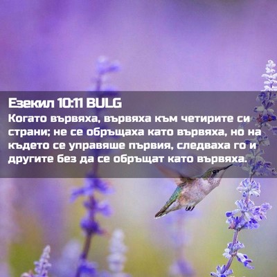 Picture 02 - Езекил 10:11 BULG - Когато вървяха, вървяха - Bible Verse Picture