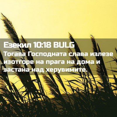 Picture 02 - Езекил 10:18 BULG - Тогава Господната слава - Bible Verse Picture