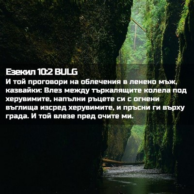 Picture 02 - Езекил 10:2 BULG - И той проговори на - Bible Verse Picture