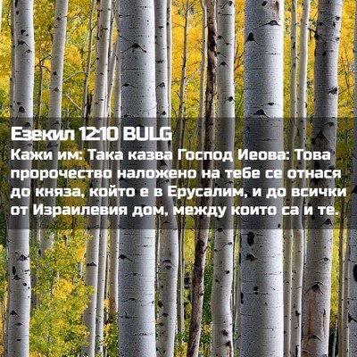 Picture 02 - Езекил 12:10 BULG - Кажи им: Така казва Господ - Bible Verse Picture