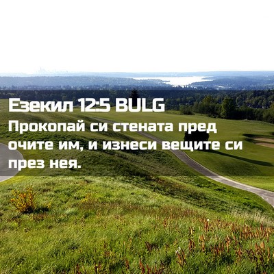 Picture 02 - Езекил 12:5 BULG - Прокопай си стената пред - Bible Verse Picture