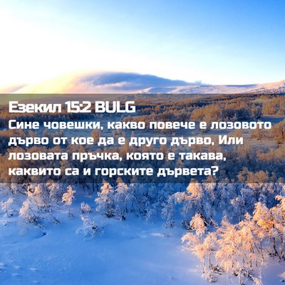 Picture 02 - Езекил 15:2 BULG - Сине човешки, какво повече - Bible Verse Picture