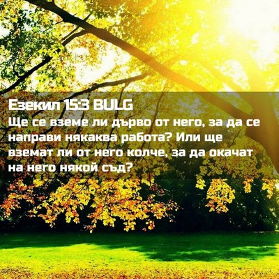 Picture 02 - Езекил 15:3 BULG - Ще се вземе ли дърво от - Bible Verse Picture