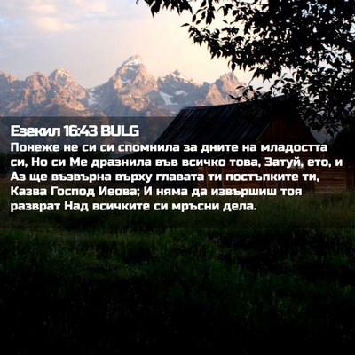 Picture 02 - Езекил 16:43 BULG - Понеже не си си спомнила за - Bible Verse Picture