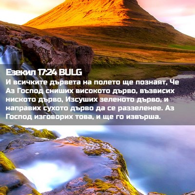 Picture 02 - Езекил 17:24 BULG - И всичките дървета на - Bible Verse Picture