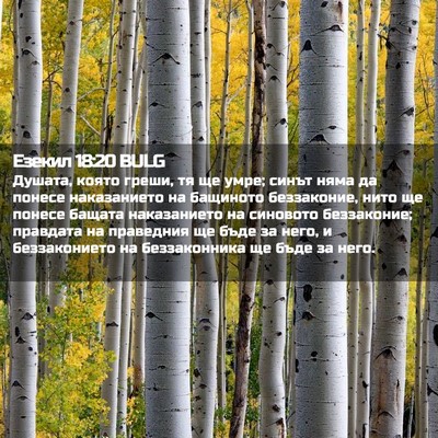 Picture 02 - Езекил 18:20 BULG - Душата, която греши, тя ще - Bible Verse Picture