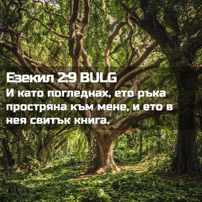 Picture 02 - Езекил 2:9 BULG - И като погледнах, ето ръка - Bible Verse Picture
