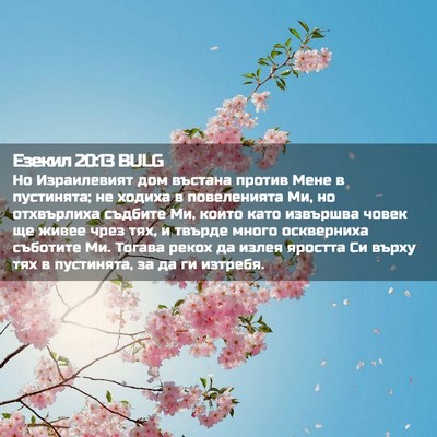 Picture 02 - Езекил 20:13 BULG - Но Израилевият дом въстана - Bible Verse Picture