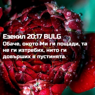 Picture 02 - Езекил 20:17 BULG - Обаче, окото Ми ги пощади, - Bible Verse Picture