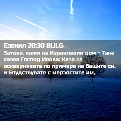 Picture 02 - Езекил 20:30 BULG - Затова, кажи на Израилевия - Bible Verse Picture