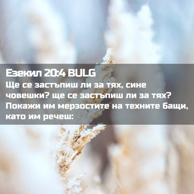 Picture 02 - Езекил 20:4 BULG - Ще се застъпиш ли за тях, - Bible Verse Picture