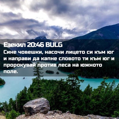 Picture 02 - Езекил 20:46 BULG - Сине човешки, насочи - Bible Verse Picture