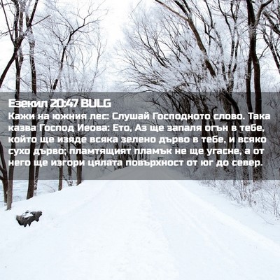 Picture 02 - Езекил 20:47 BULG - Кажи на южния лес: Слушай - Bible Verse Picture
