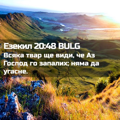 Picture 02 - Езекил 20:48 BULG - Всяка твар ще види, че Аз - Bible Verse Picture