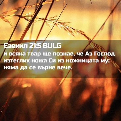 Picture 02 - Езекил 21:5 BULG - и всяка твар ще познае, че - Bible Verse Picture