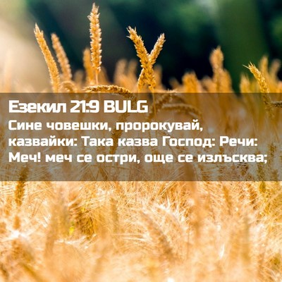 Picture 02 - Езекил 21:9 BULG - Сине човешки, пророкувай, - Bible Verse Picture
