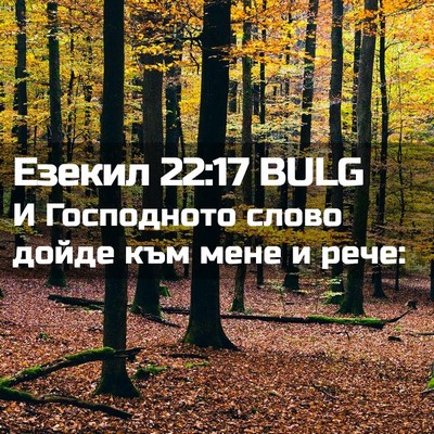 Picture 02 - Езекил 22:17 BULG - И Господното слово дойде - Bible Verse Picture