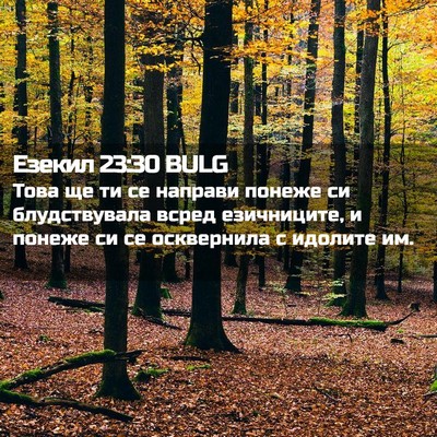 Picture 02 - Езекил 23:30 BULG - Това ще ти се направи - Bible Verse Picture