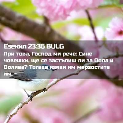 Picture 02 - Езекил 23:36 BULG - При това, Господ ми рече: - Bible Verse Picture