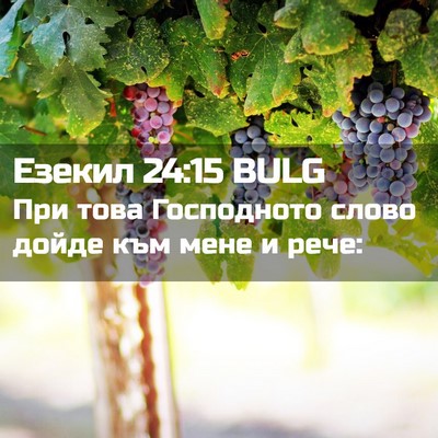 Picture 02 - Езекил 24:15 BULG - При това Господното слово - Bible Verse Picture