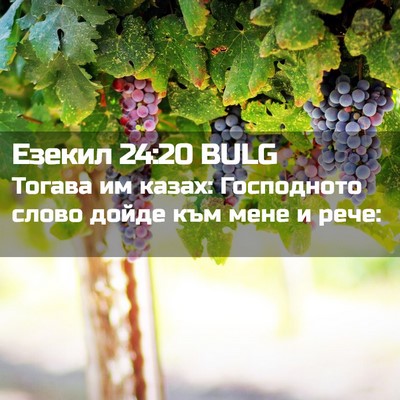 Picture 02 - Езекил 24:20 BULG - Тогава им казах: - Bible Verse Picture
